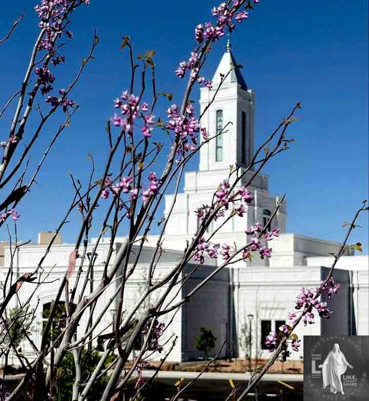 House of the Lord Grand Junction Colorado Temple by LDS Temple News