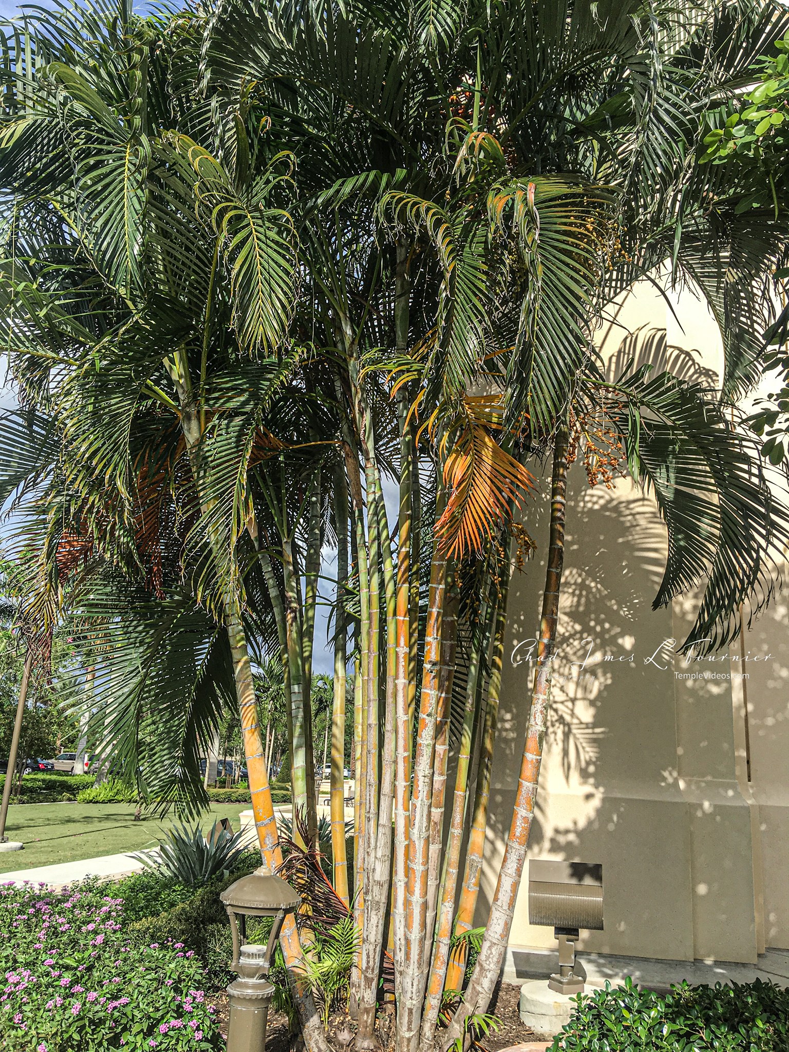 LDS Temple News Presents the Fort Lauderdale Flordia Temple House of the Lord Holiness to the Lord