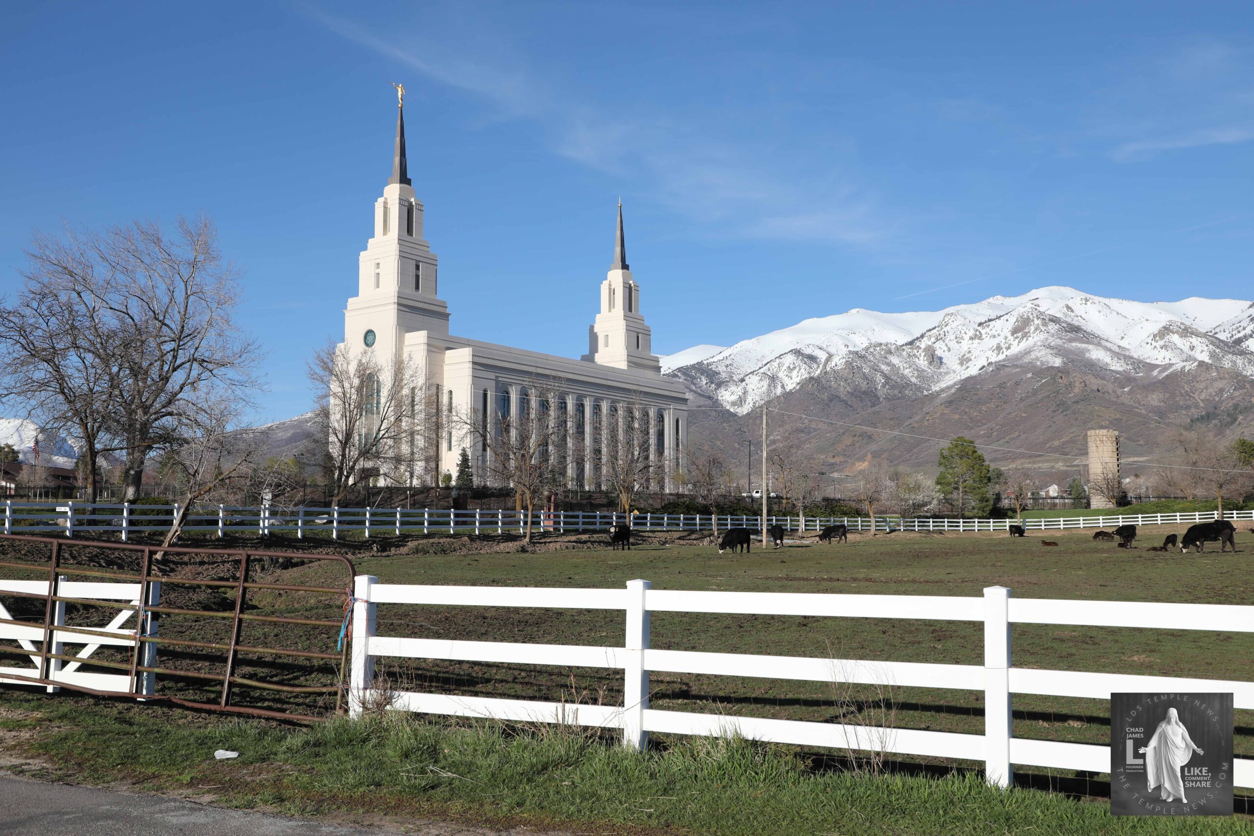 Layton Temple New Life