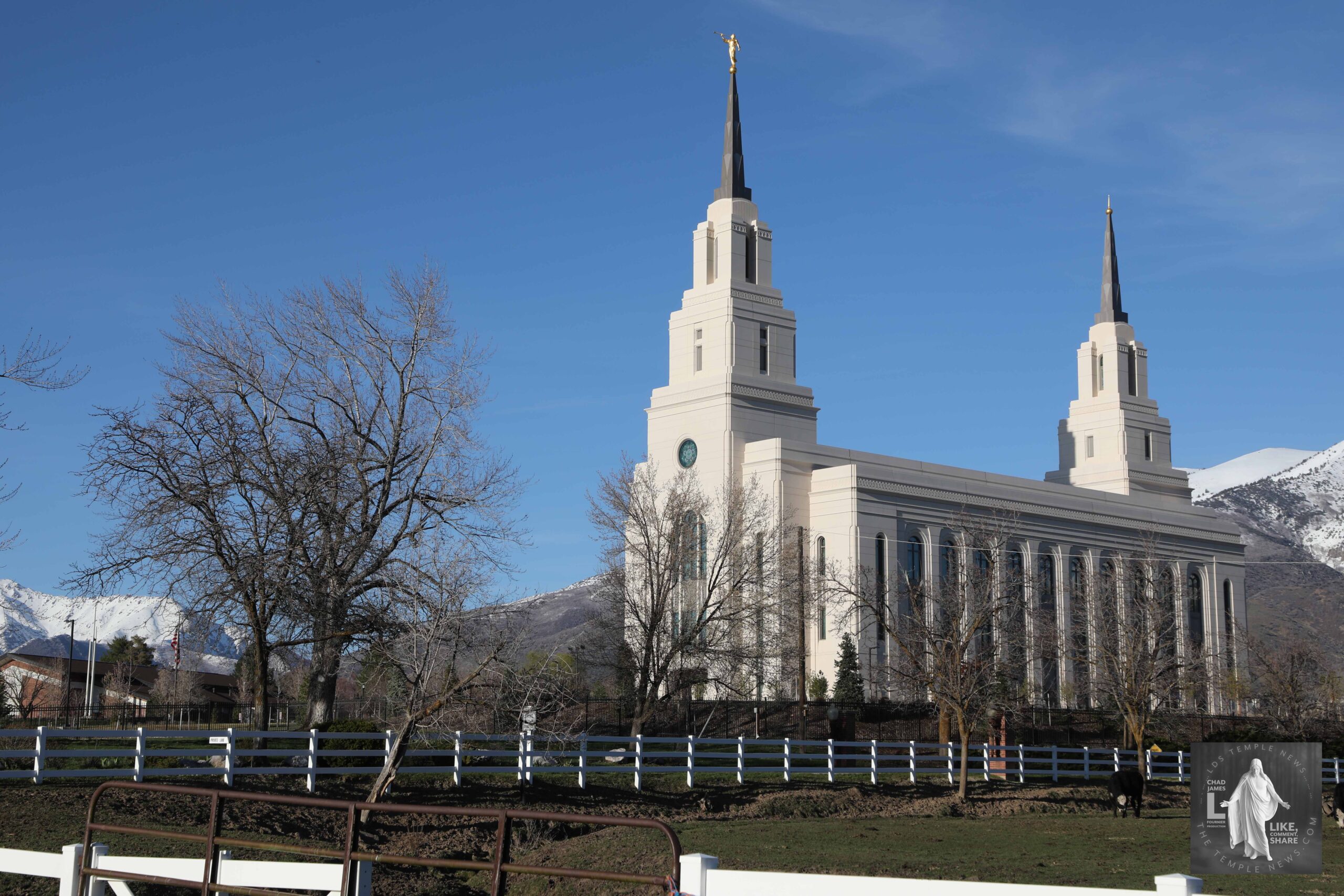 Layton Temple with Cows