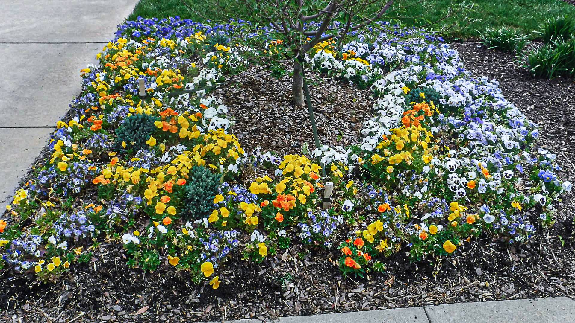 Nashville.Tennessee Temple beautiful Gardens