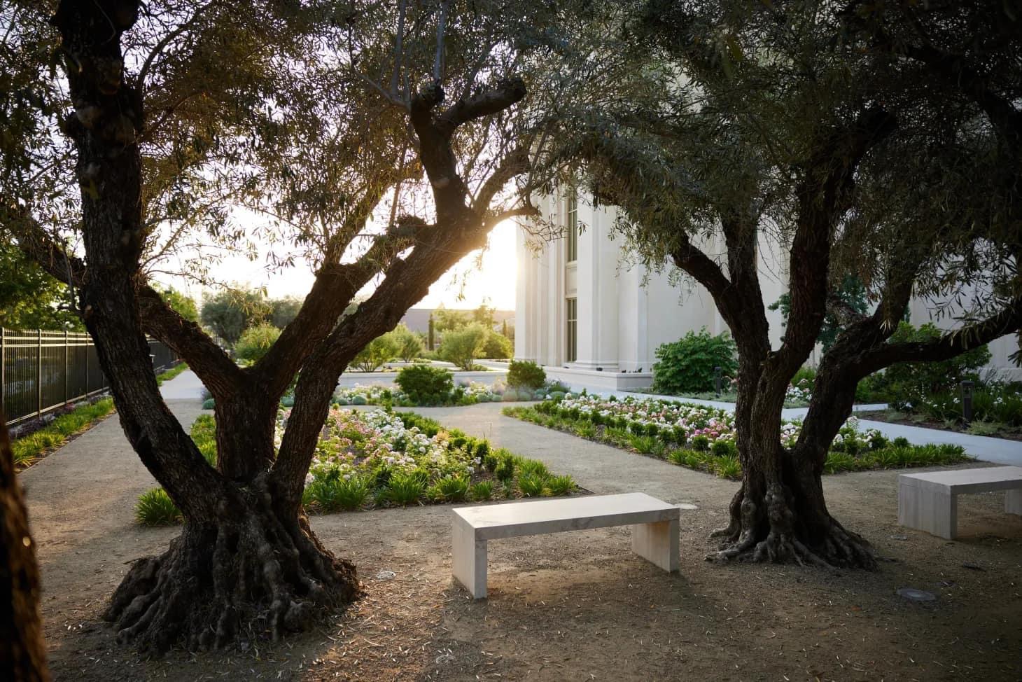 Visit the Feather River California Temple by LDS Temple News