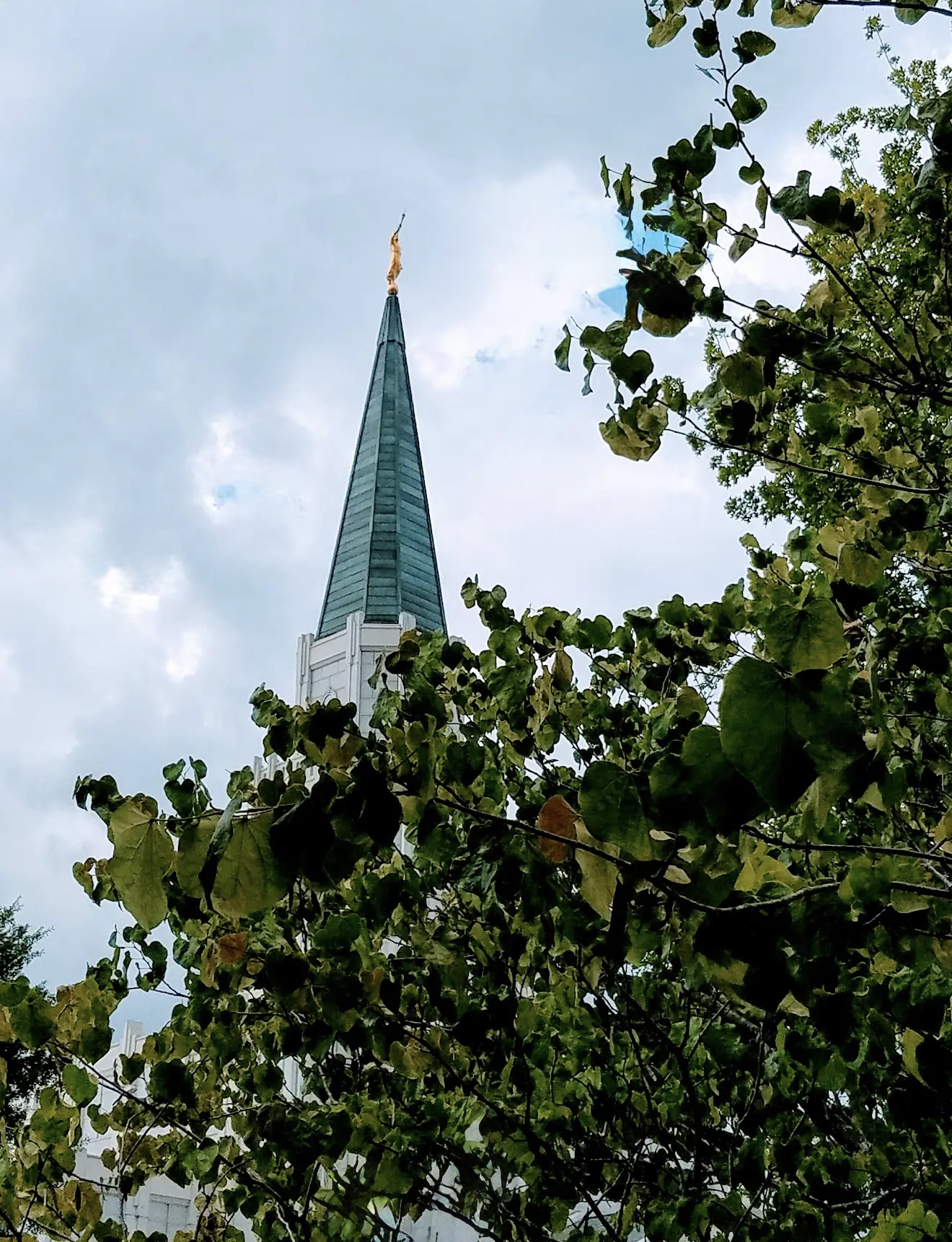 Houston Texas Temple Photography by LDS Temple News