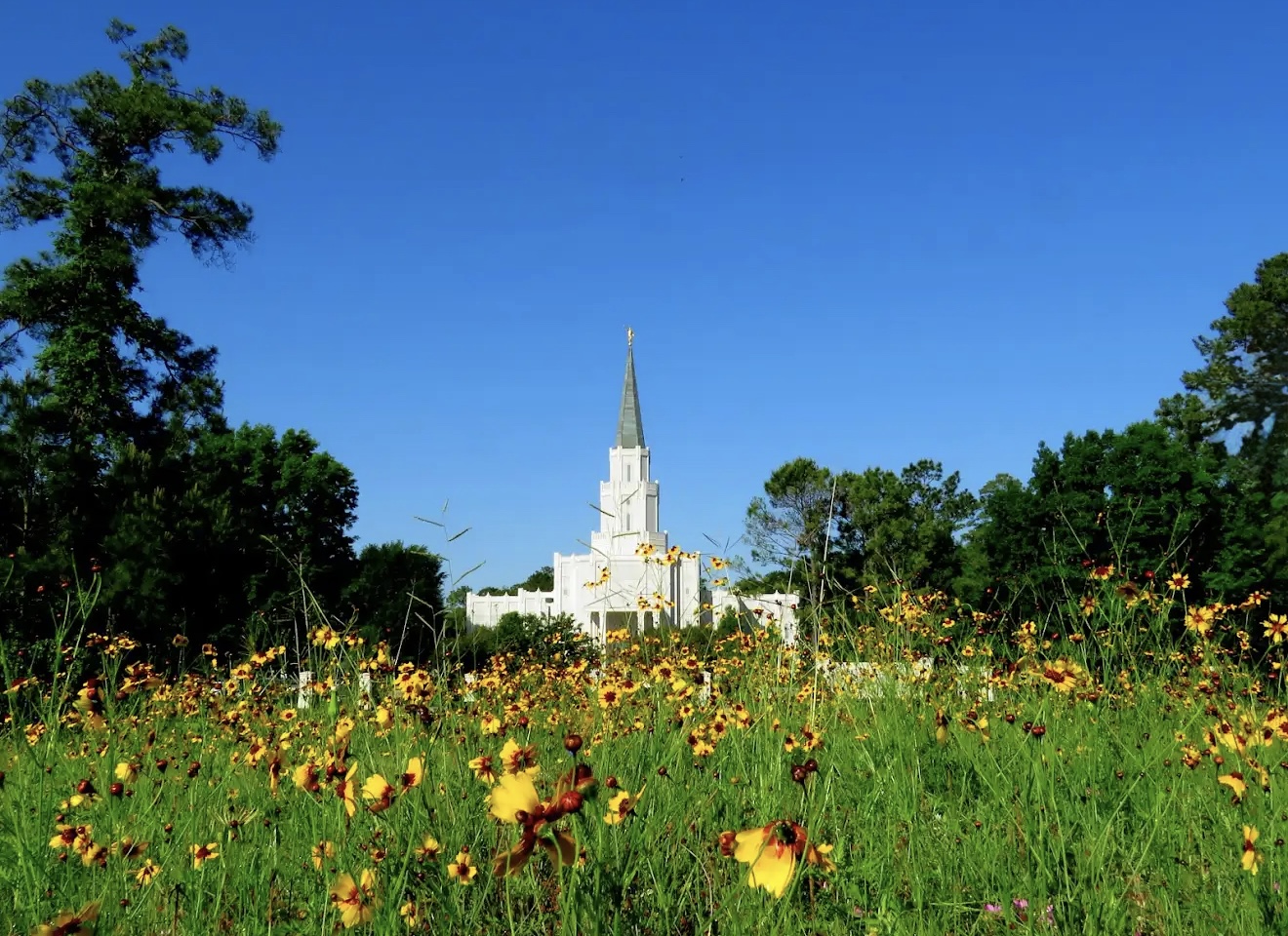Houston Texas Temple media by LDS Temple News