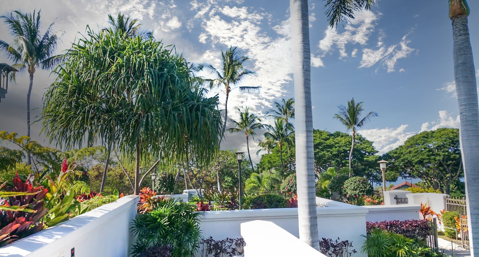Kona Hawaii Temple by LDS Temple News