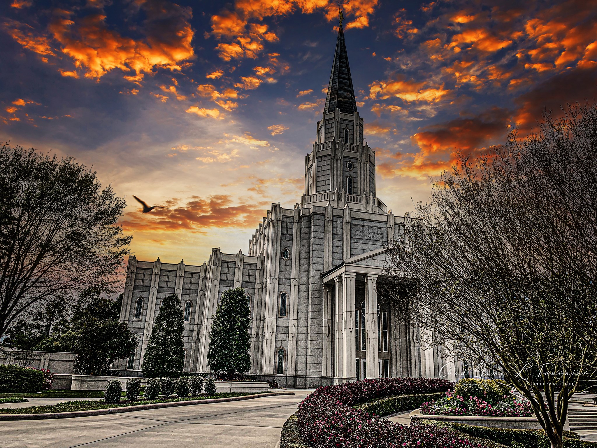 LDS Temple News Houston Texas Temple