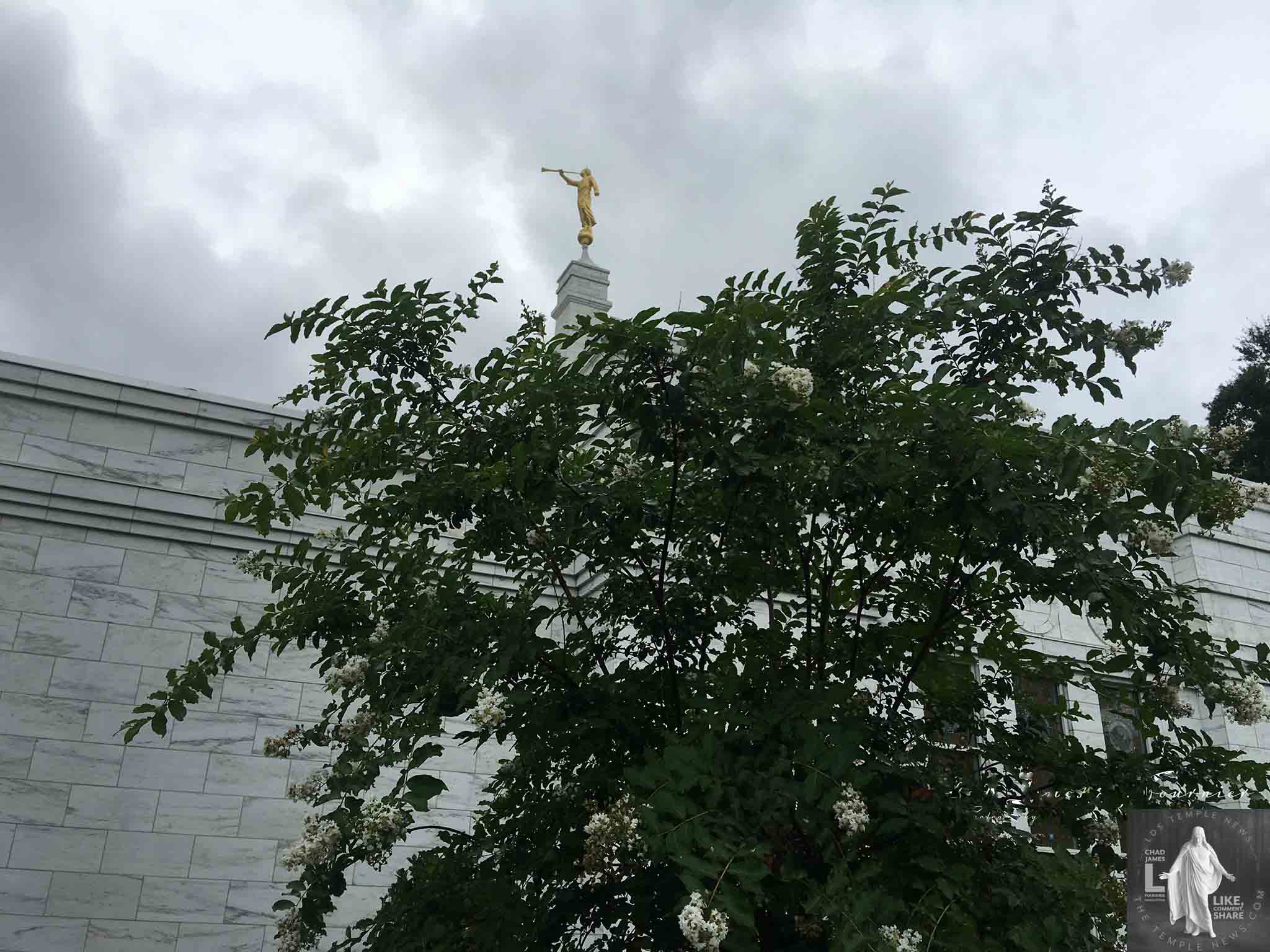 LDS Temple News Presents Memphis Tennessee Temple