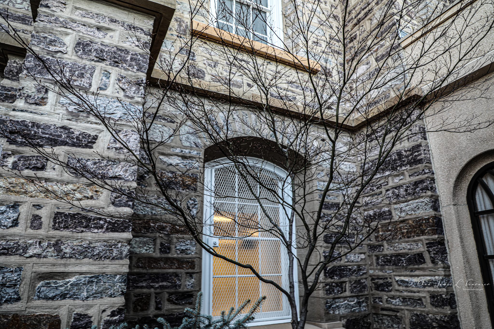 Logan Utah Temple Photography by LDS Temple News
