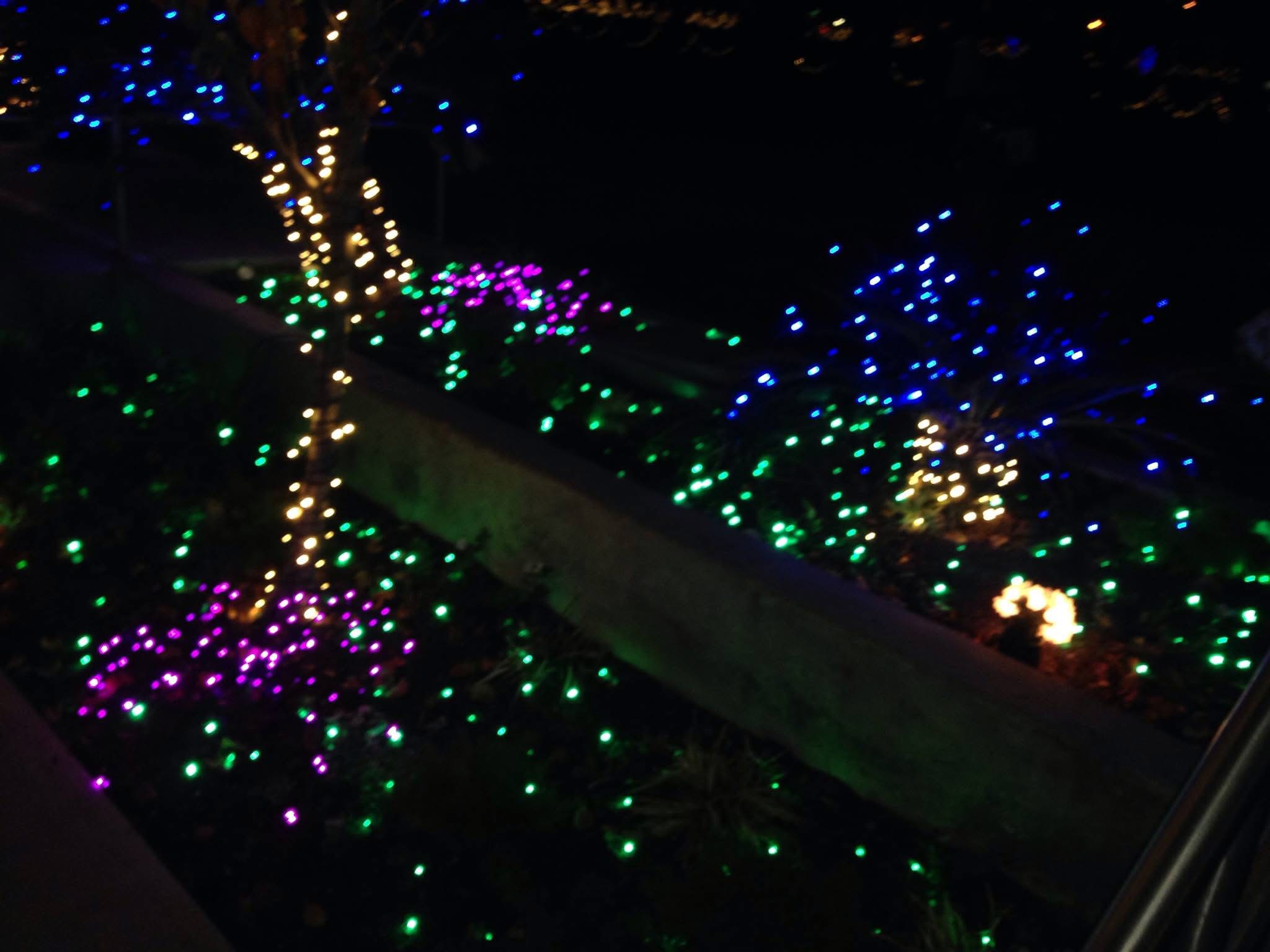 2025 Mesa AZ Temple Christmas Lights