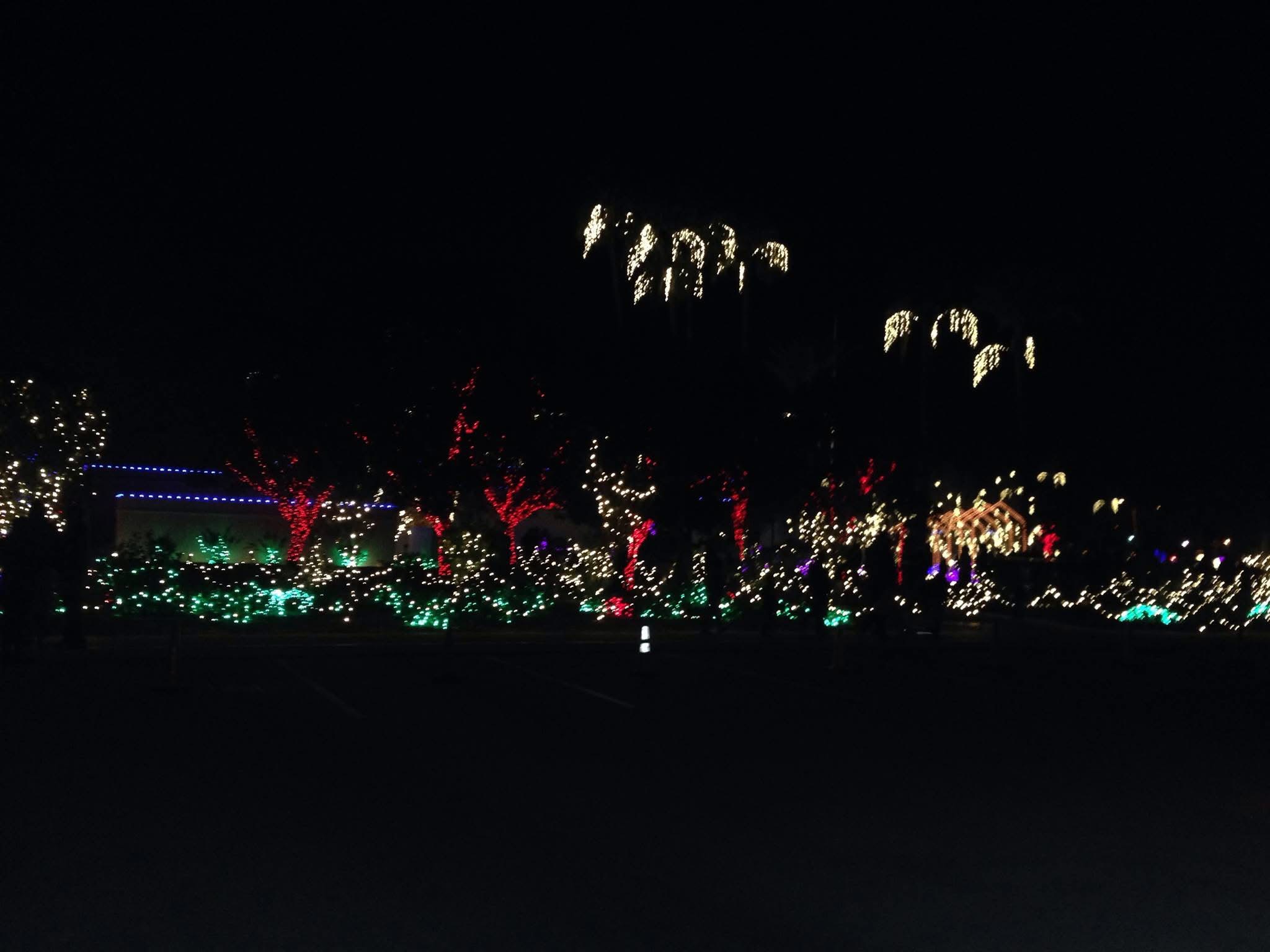 Mesa Temple During Christmas