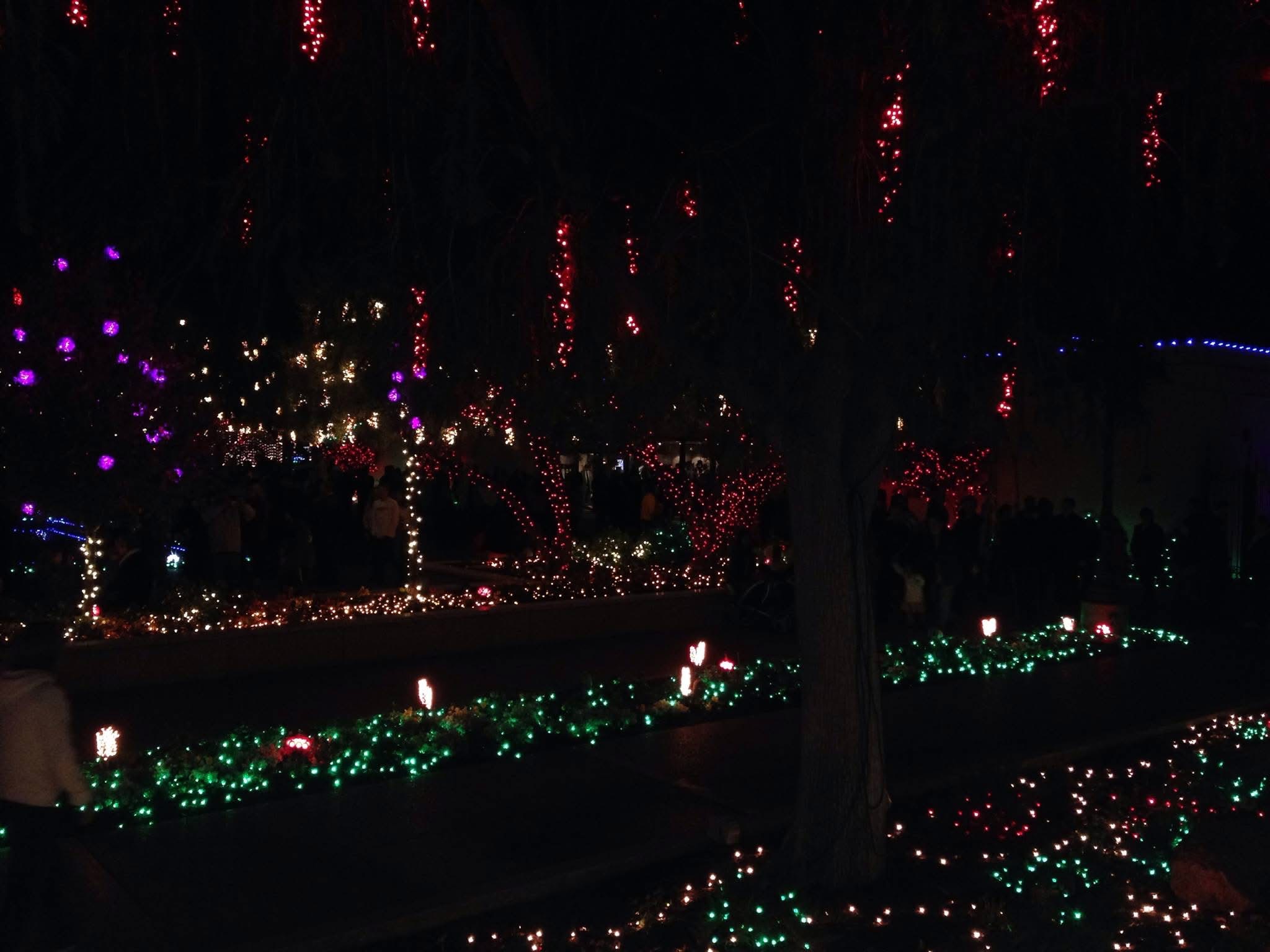 Mesa Arizona temple Christmas lights