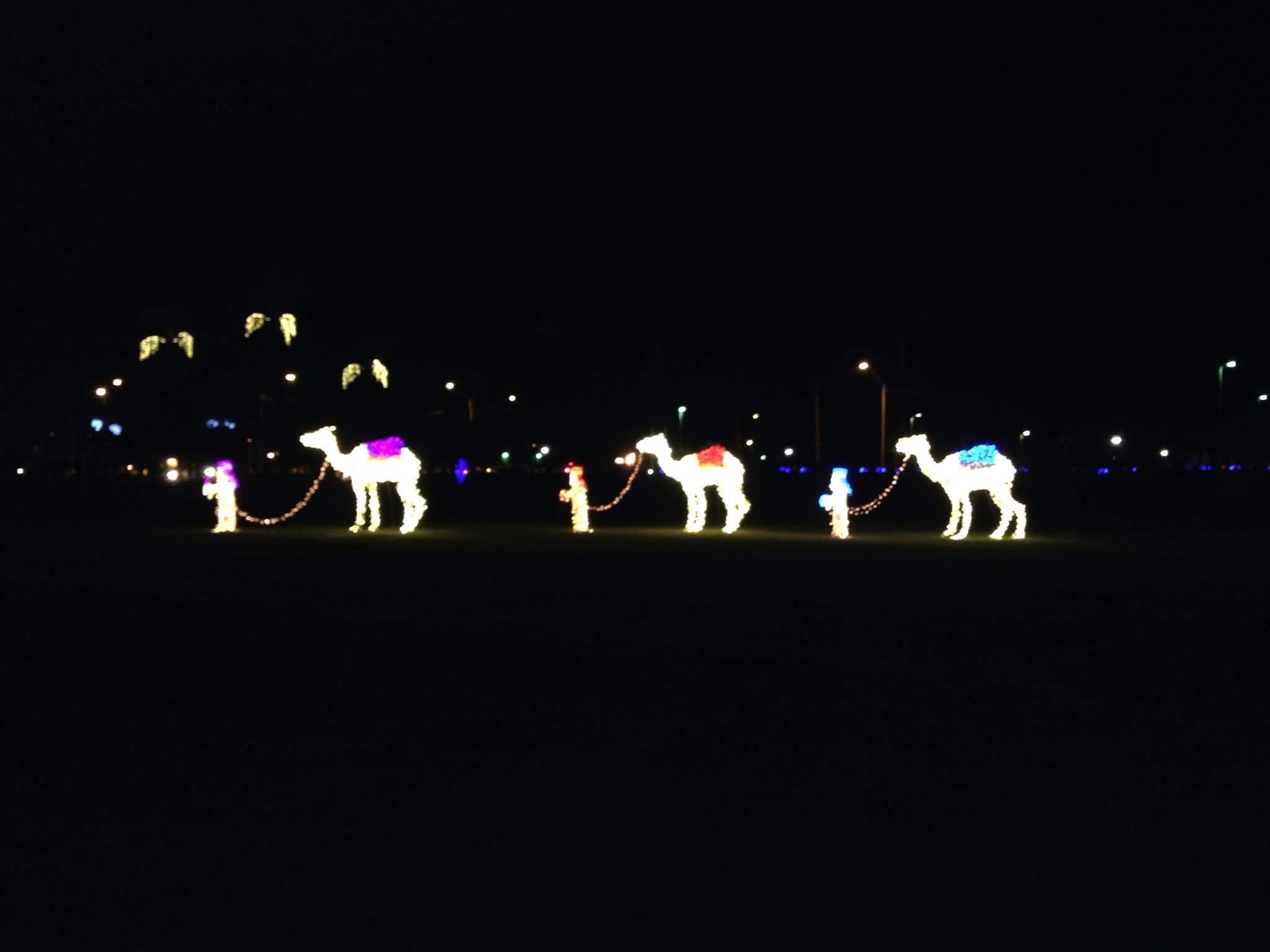 Mesa Arizona Temple Holiday Lights