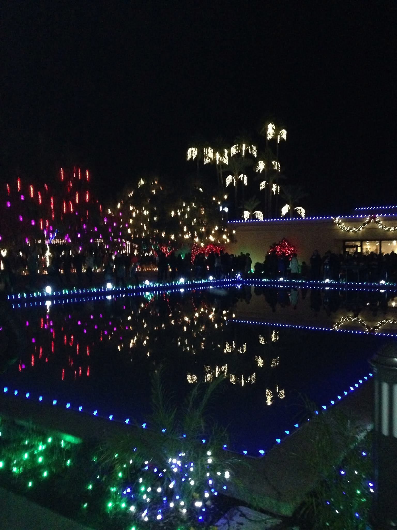 Christmas lights at Mesa temple