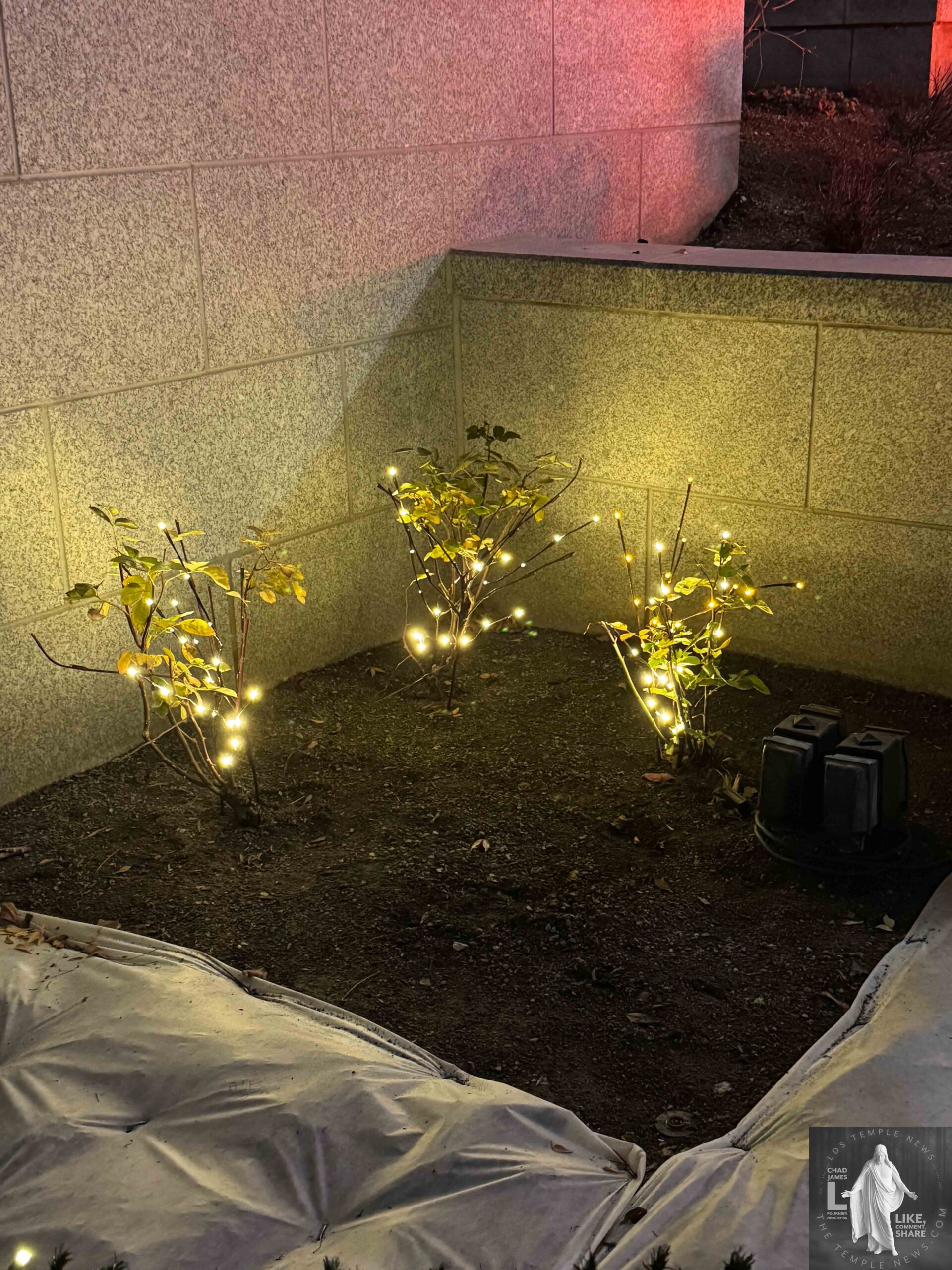 Christmas on Temple Square 2025 by LDS Temple News