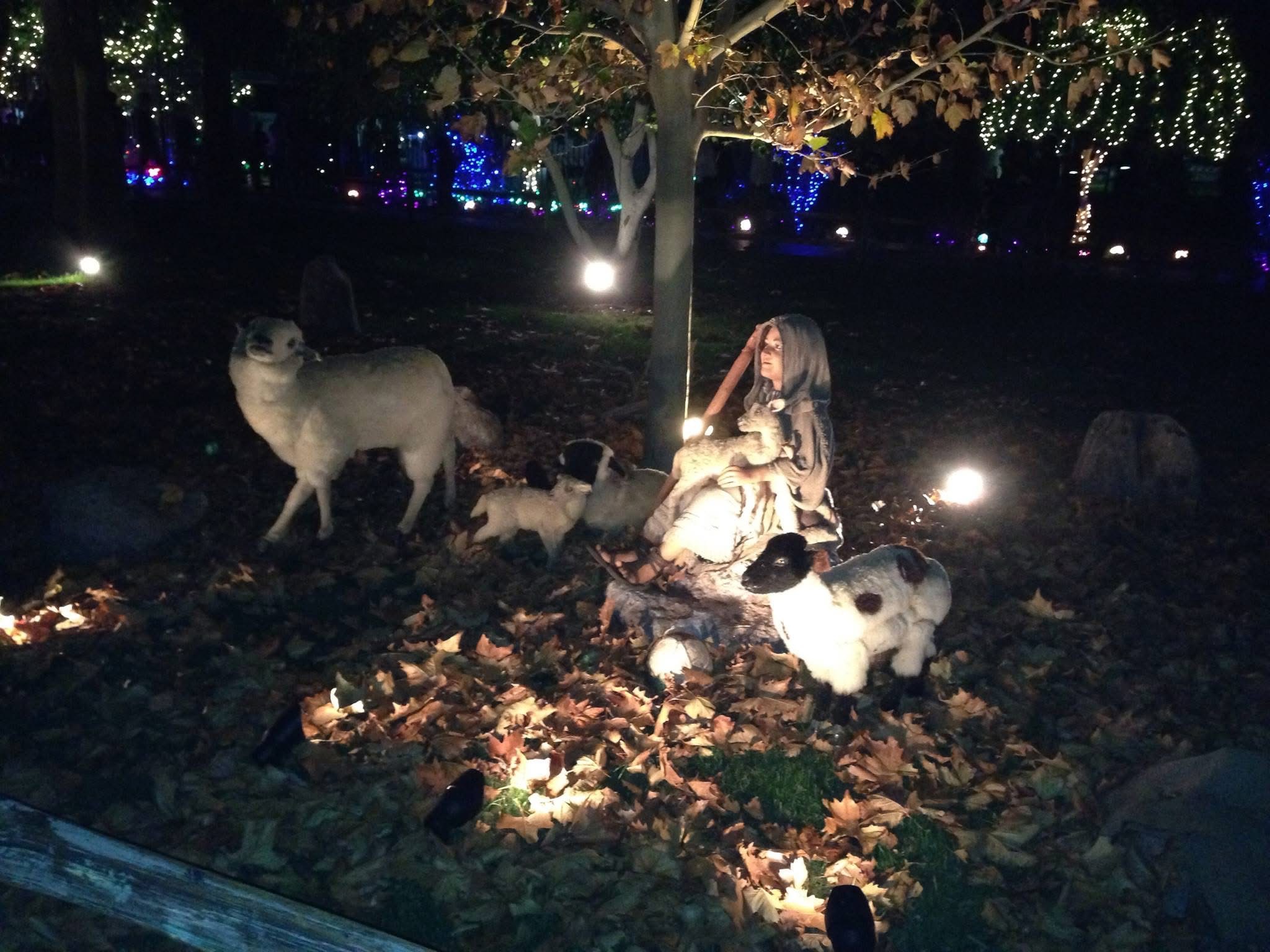 Mesa LDS Temple lights Display