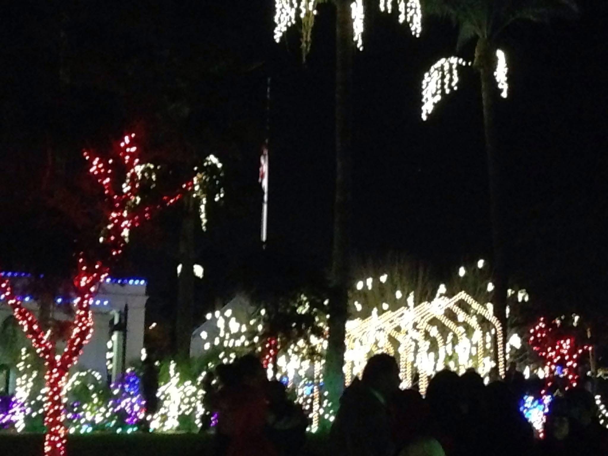 Mesa Arizona Temple Christmas Lights