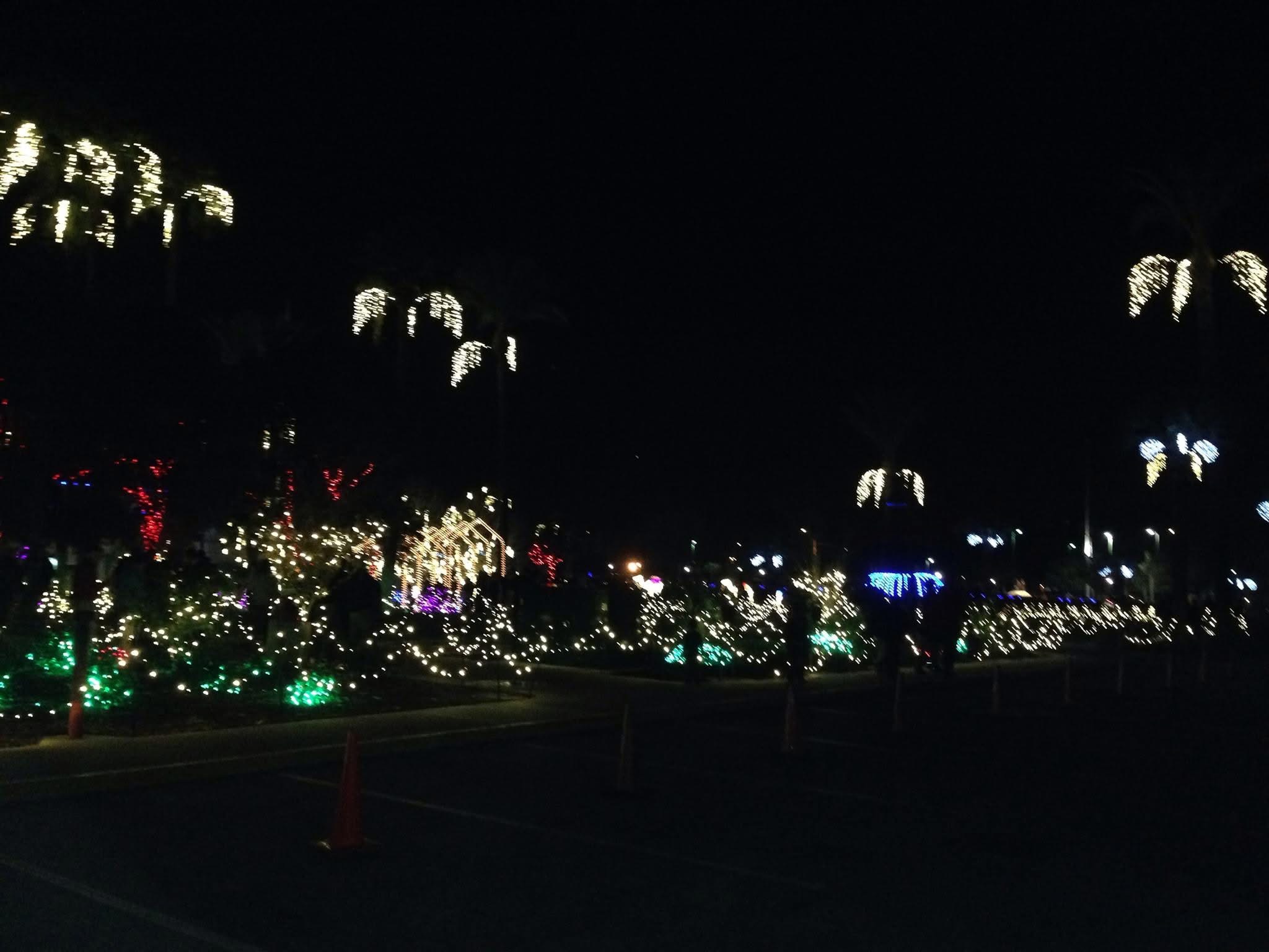 Mesa Temple Lights- Oh Come, Oh Come Emmanuel