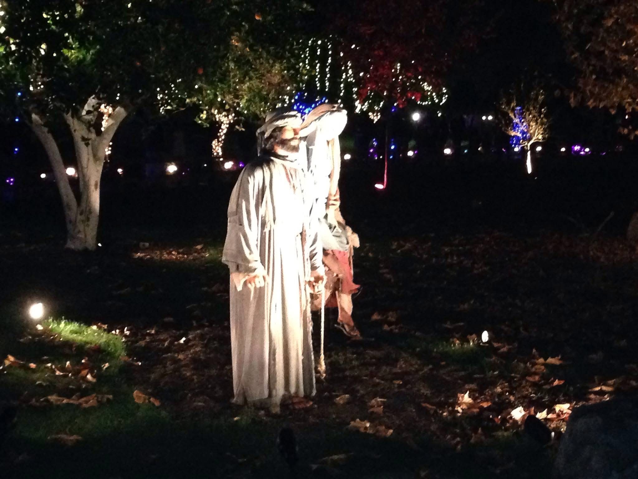 Mesa Arizona Temple Christmas Lights