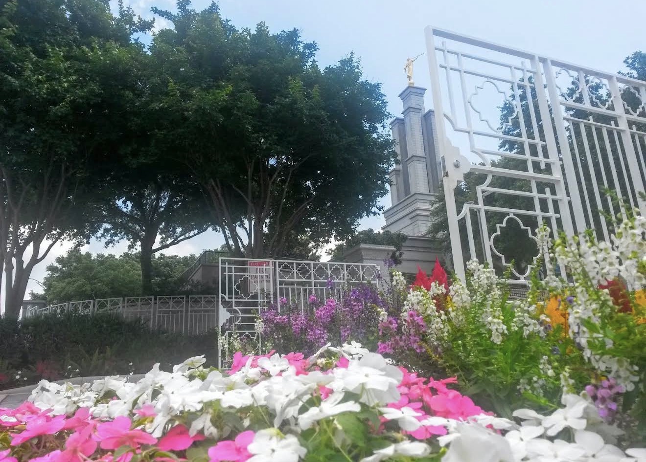 San Antonio Texas Temple by LDS Temple News