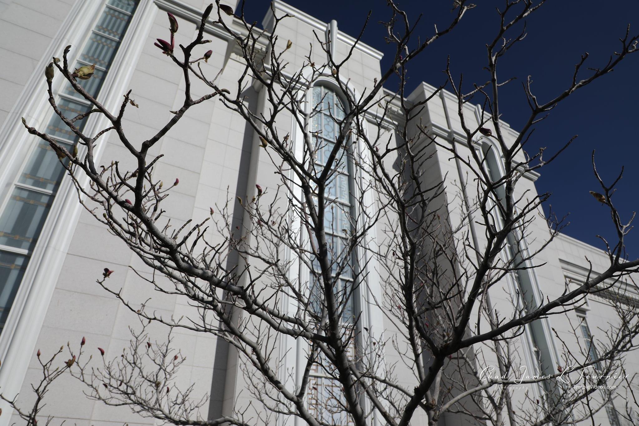 Bountiful Utah Temple Media LDS Temple News