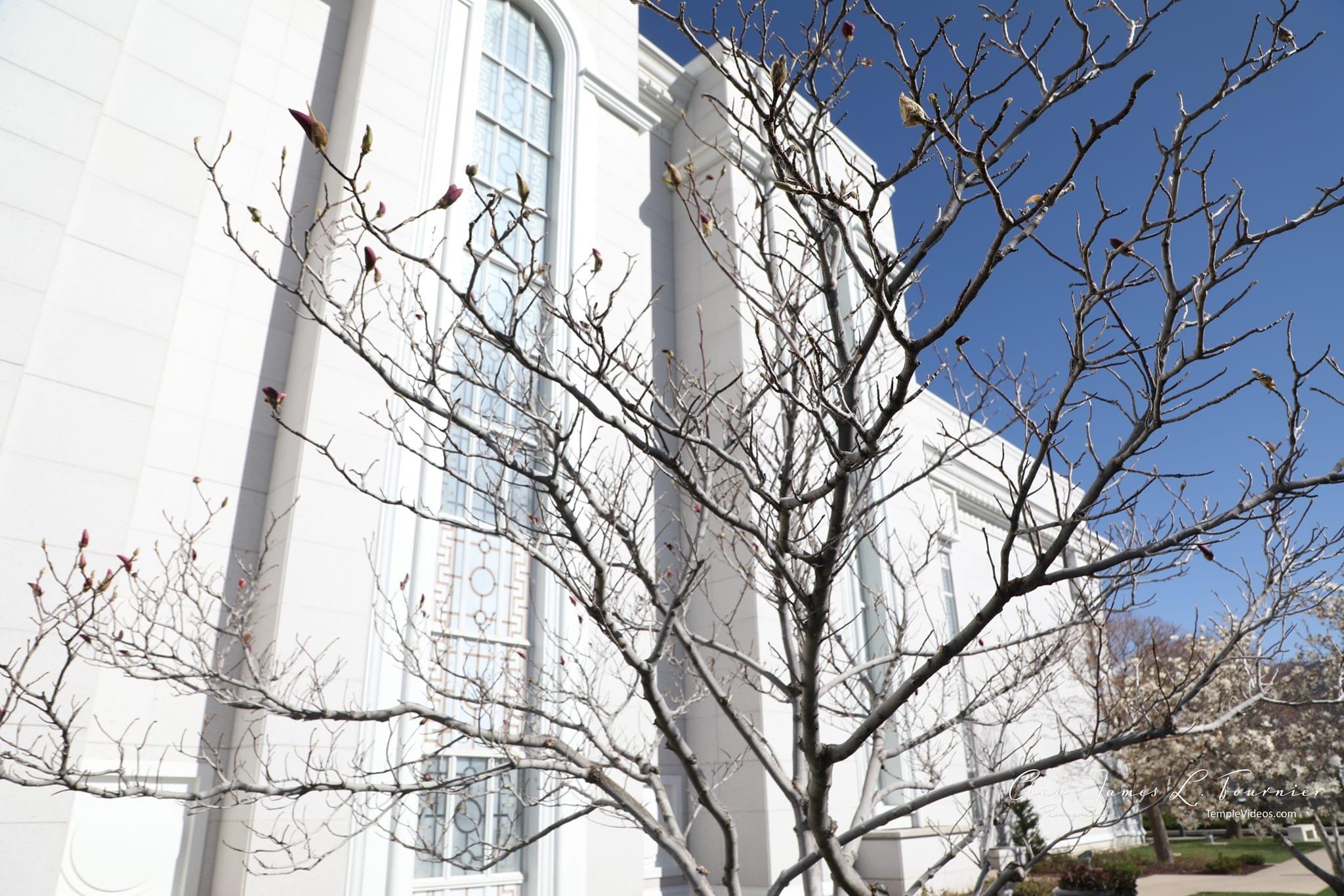 LDS Temple News Presents the Bountiful Utah Temple House of the Lord Holiness to the Lord