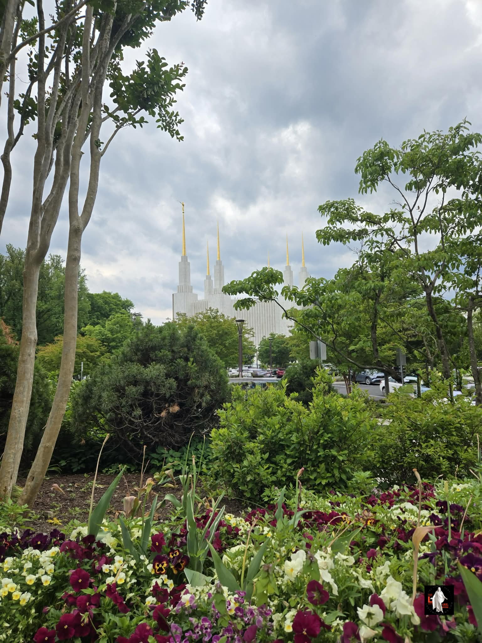 LDS Temple News focuses on Washington D.C. Temple Photography