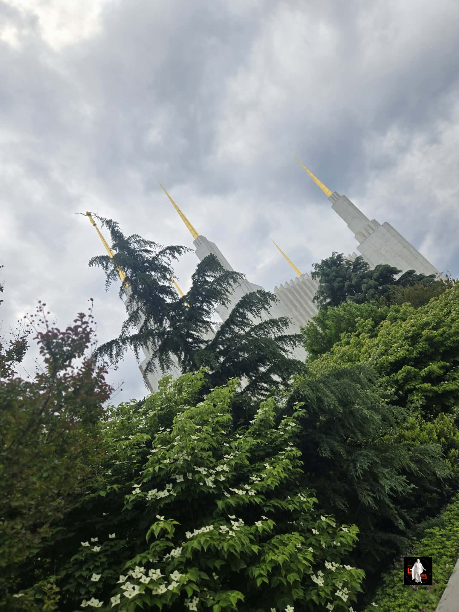 Washington D.C. Temple Photography edition from LDS Temple News