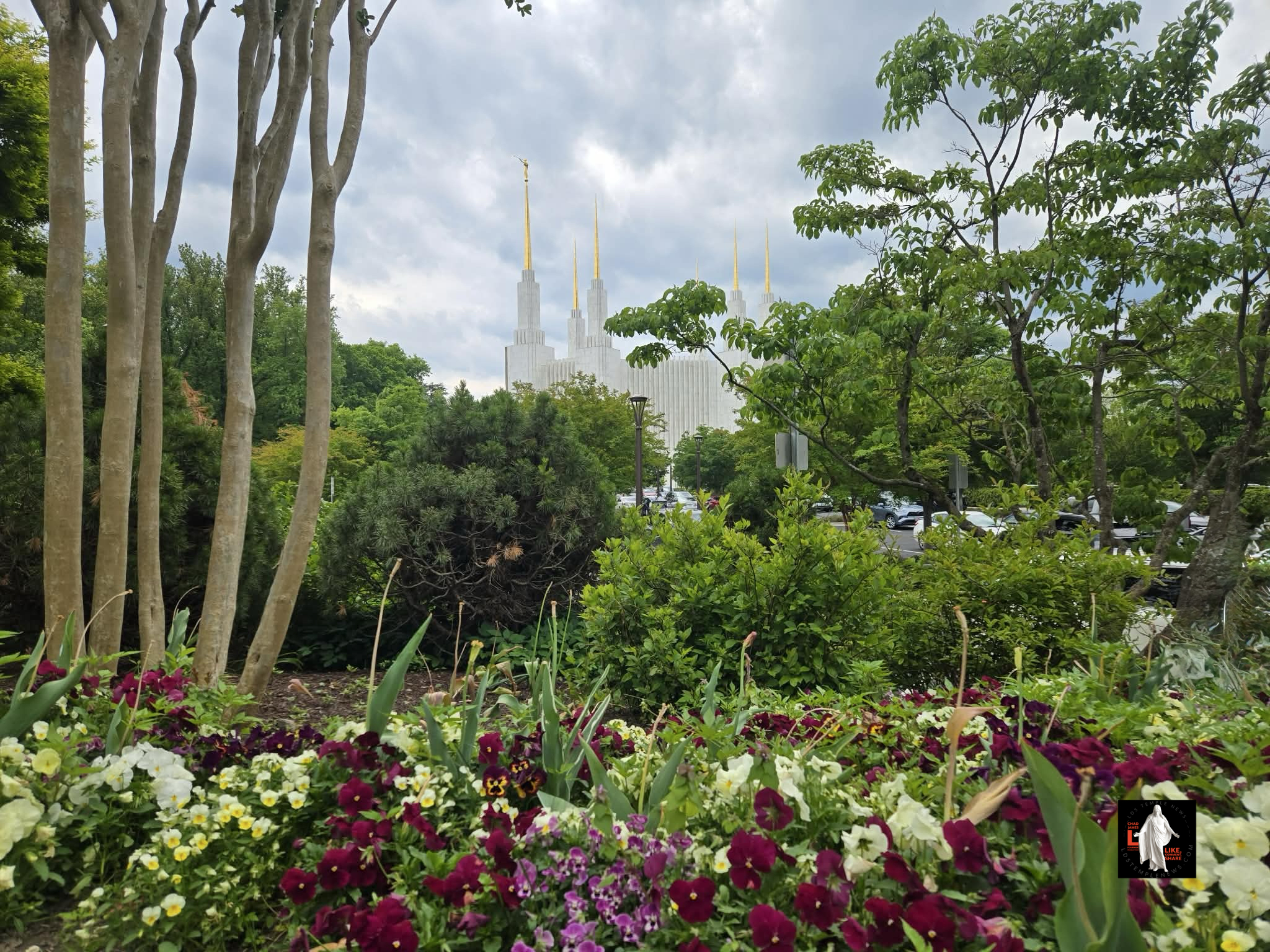 Washington D.C. Temple Photography news piece by LDS Temple News